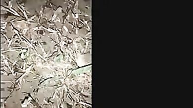 Village randi ka night me gangbang sex video