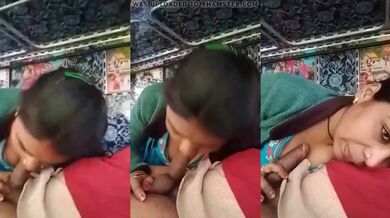 Desi bhabhi ne truck me driver ka lund chusa