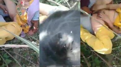 Desi village randi ka kheto me groupsex video