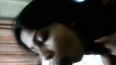 Sexy figure mumbai escort sucking video